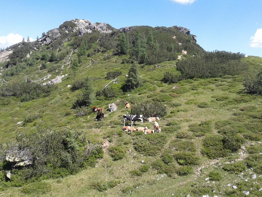 Alpenhotel Marcius Sonnenalpe Nassfeld Exterior foto